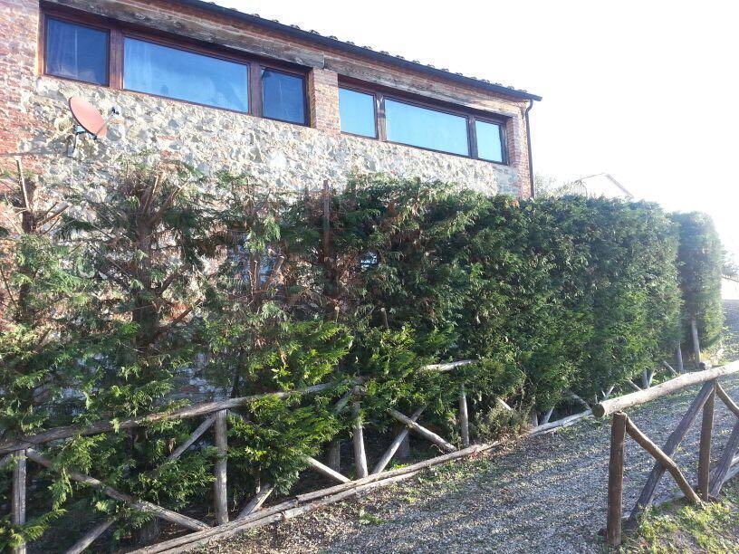 Residenza Il Platano Fortilizio Di Campiglia 拉波拉诺泰尔梅 外观 照片